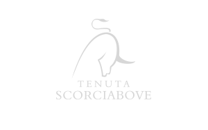 Tenuta Scorciabove